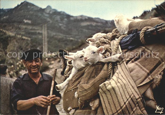 Ziege Hirte Transhumance Aragon