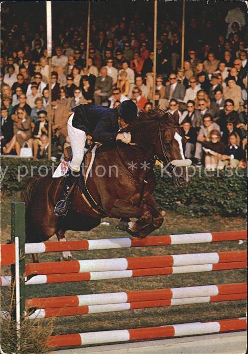 Pferdesport Pferderennen Reitsport Springreiten