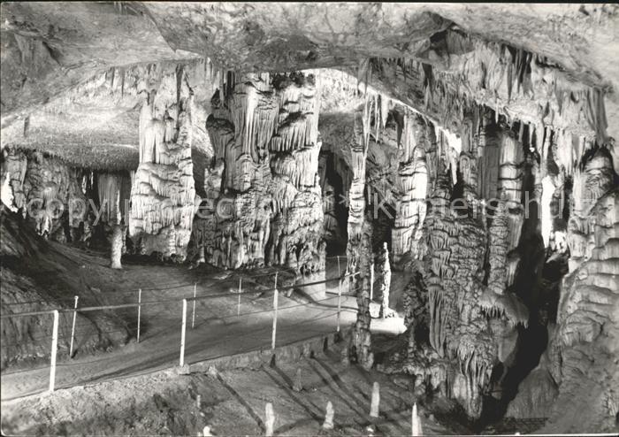 Hoehlen Caves Grottes Postojnska Jama Slovenija Jugoslavija