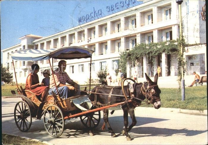 Varna Warna Hotel Morska Zvezda