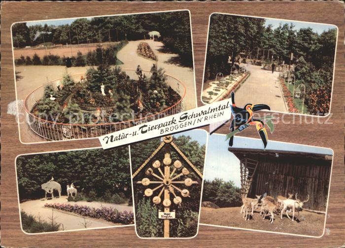 Brueggen Niederrhein Natur- Tierpark Schwalmtal