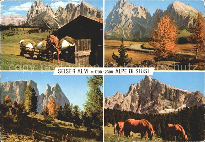 Seiser Alm Dolomiten Alpe di Siusi Pferd