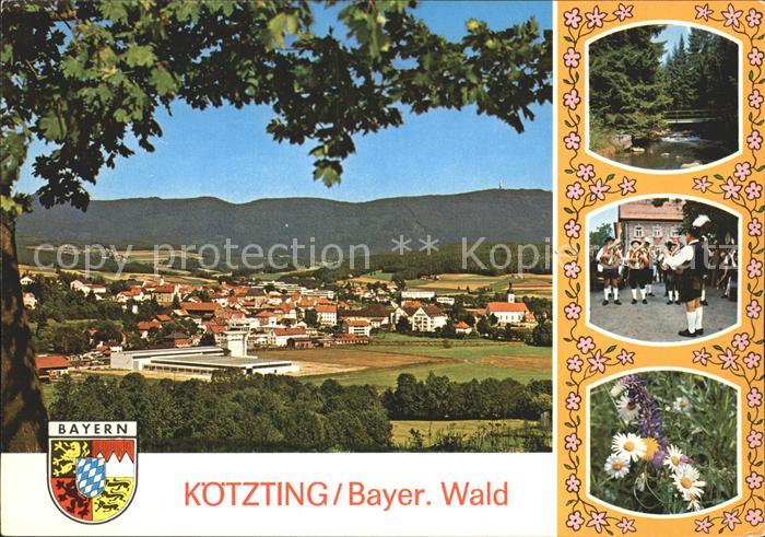 Koetzting Hoher Bogen Musikinstrument Blumen