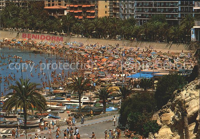 Benidorm Playa parque Colon