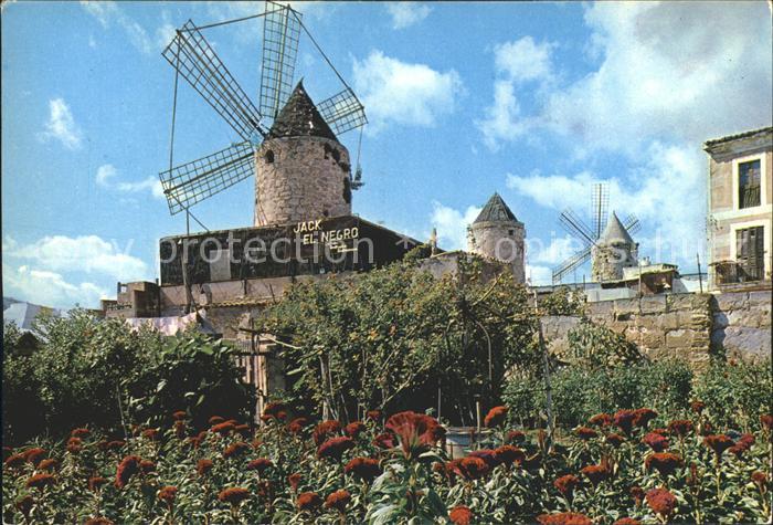 Palma de Mallorca Windmuehle Jack el Negro