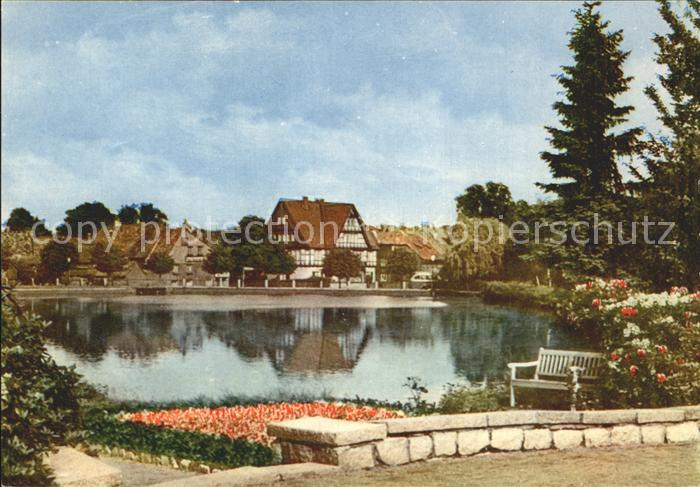 Ilsenburg Harz Kurpark