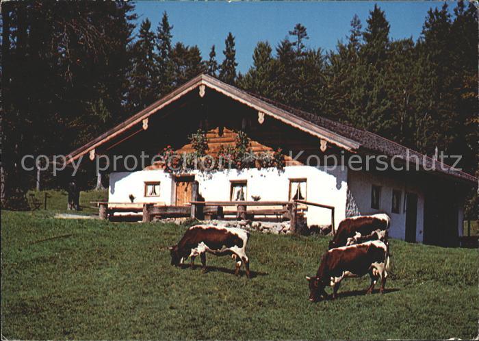 Inzell Traunstein Bayern Reiter Alm Weissbach