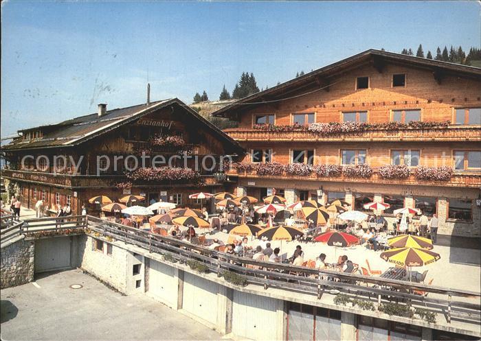 Zell Ziller Tirol Alpengasthof Enzianhof