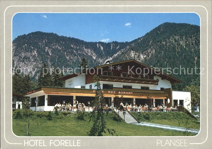 Plansee Hotel Forelle