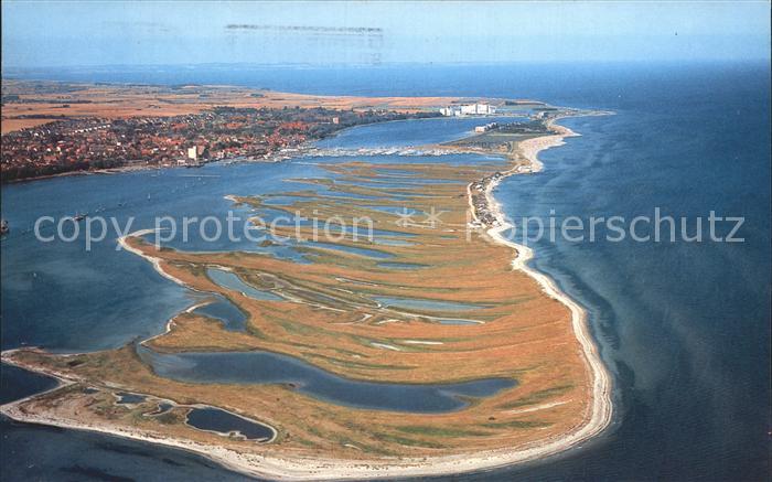 Heiligenhafen Ostseebad Graswarder mit Vogelschutzgebiet Fliegeraufnahme