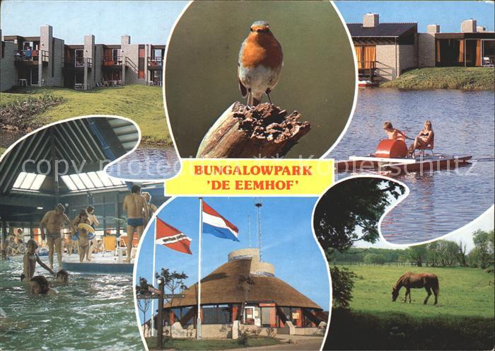 Zuidelijk Bungalowpark De Eemhof Tretboot Hallenbad Pferd Vogel
