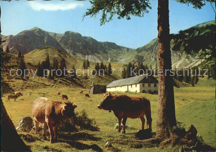 Tannheim Tirol aelple