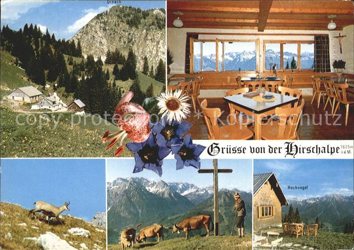 Hindelang Hirschalpe