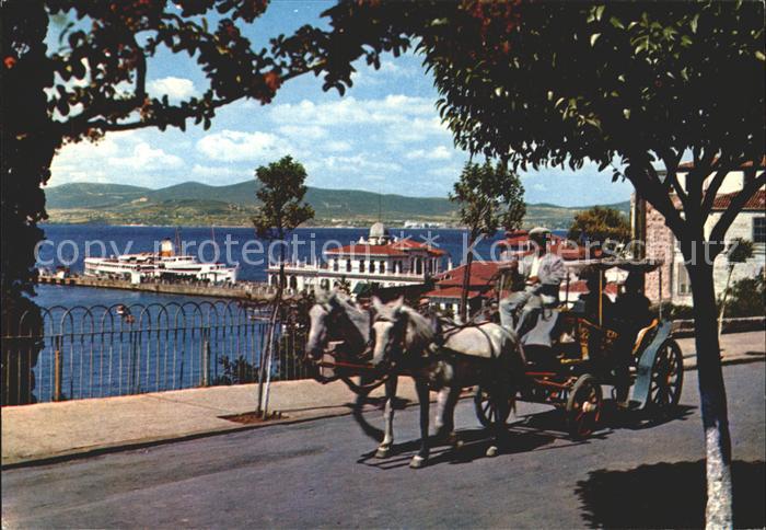Istanbul Constantinopel Pferdekutsche
