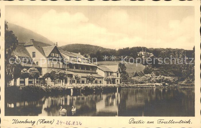 Ilsenburg Harz Partie am Forellenteich