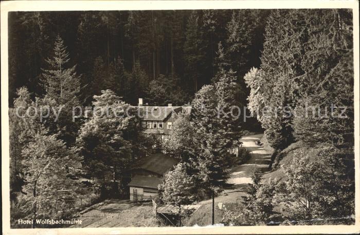 Braunlage Harz Hotel Wolfsbachmuehle