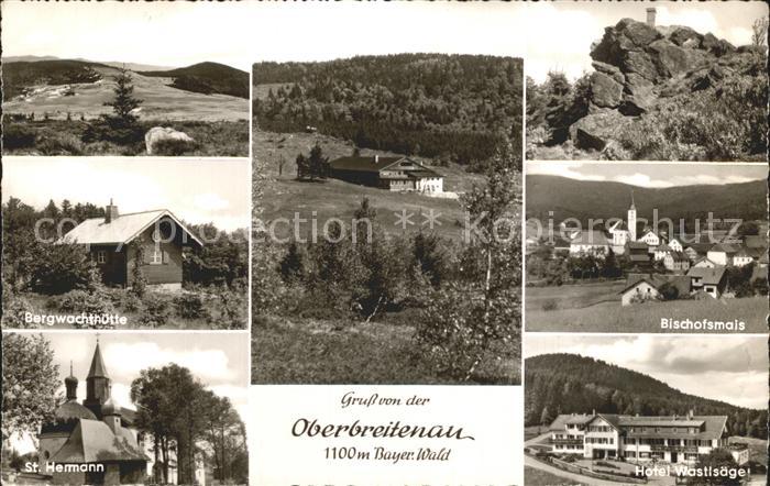 Oberbreitenau Bischofsmais Panorama Bergwachthuette Bischofsmais Hotel Wastlsaeg