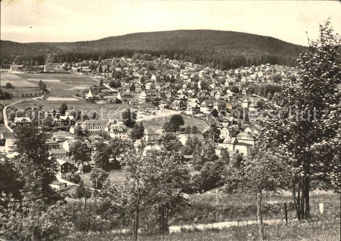 Klingenthal Vogtland Mittelberg Baumbluete