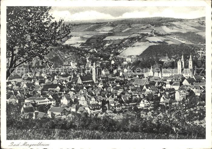 Bad Mergentheim Stadtbild mit Kirchen