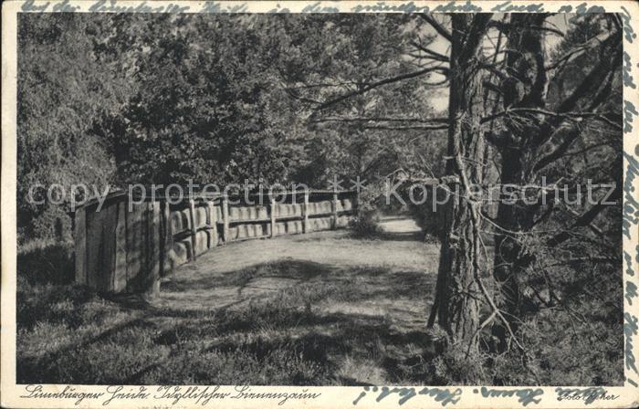 Limburg Lahn Waldpartie