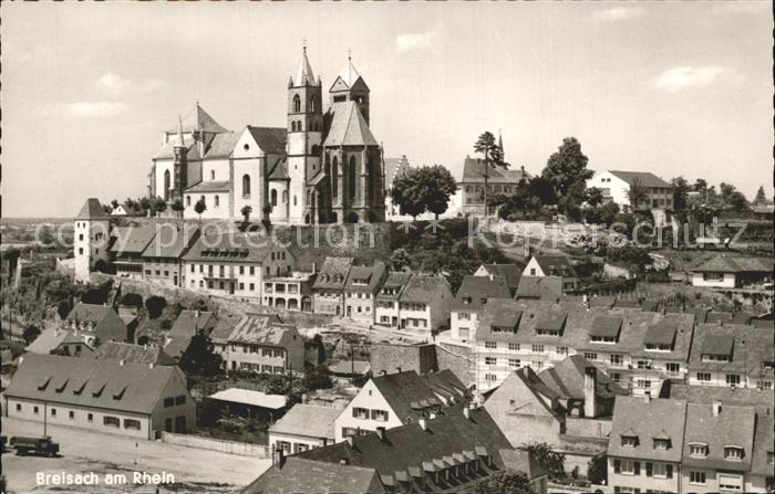 Breisach Rhein mit Muenster