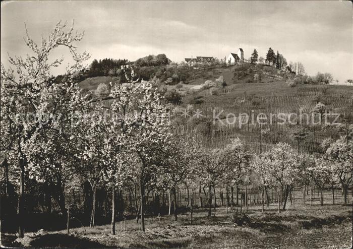 LoeRRACH Baden BW Tuellinger Hoehe Gasthaus zur schoenen Aussicht