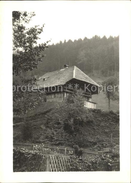 BADENWEILER BW Holzhaus