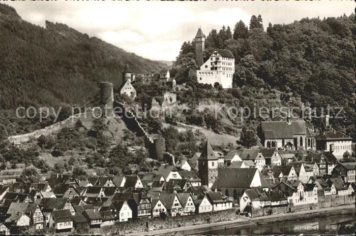 Hirschhorn Neckar Burg und Klostgerkirche Ortsansicht