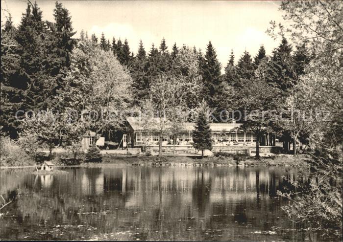 Frauenwald Thueringen Cafe Lenkgrund Schwanenteich