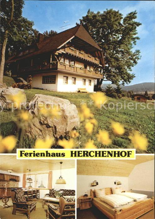 Hinterzarten Breisgau-Hochschwarzwald BW Ferienhaus Herchenhof Schwarzwald