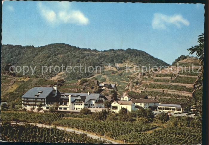 Mayschoss Hotel und Weinhaus Lochmuehle an der Ahr Weinberge