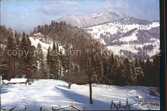 Predeal Piriul Rece Winterpanorama