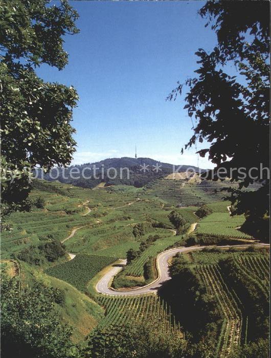 Kaiserstuhl Region Panorama Blick zum Totenkopf Weinanbaugebiet