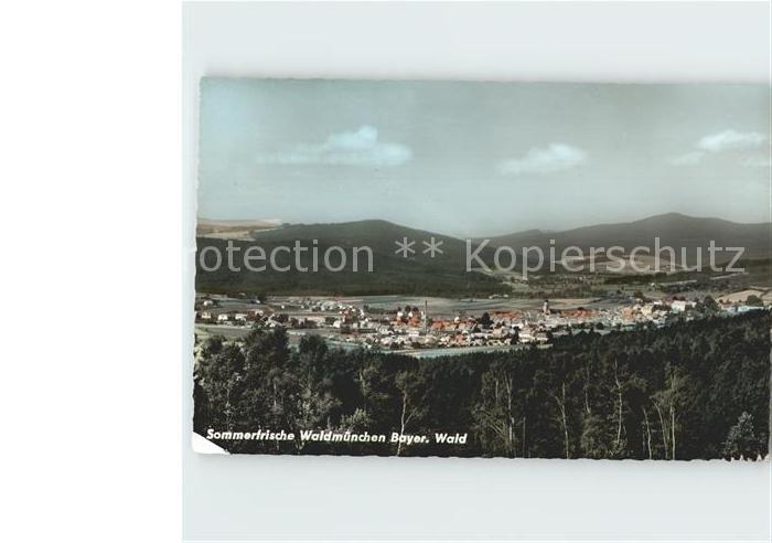 Waldmuenchen Panorama