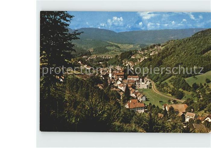 Bad Peterstal-Griesbach Panorama