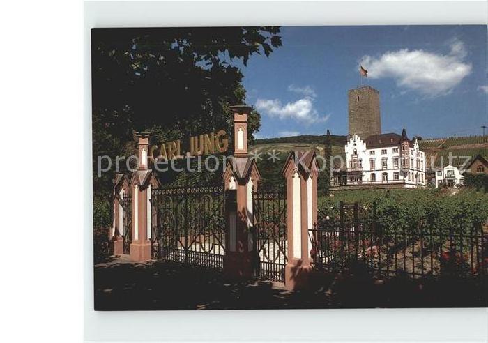 Ruedesheim Rhein Carl Jung Weingut Schloss Boosenburg