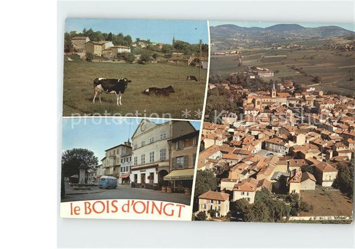 Le Bois-d Oingt Viehweide Strassenpartie Fliegeraufnahme