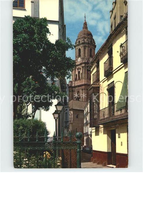 Malaga Andalucia Calleja y Catedral