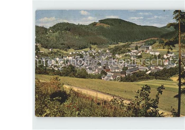 Bad Laasphe Panorama