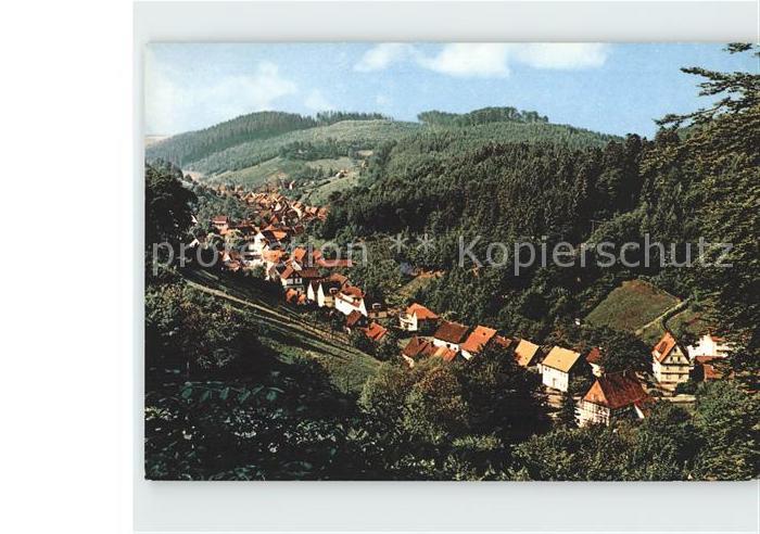 Bad Grund Blick vom Iberger Kaffeehaus