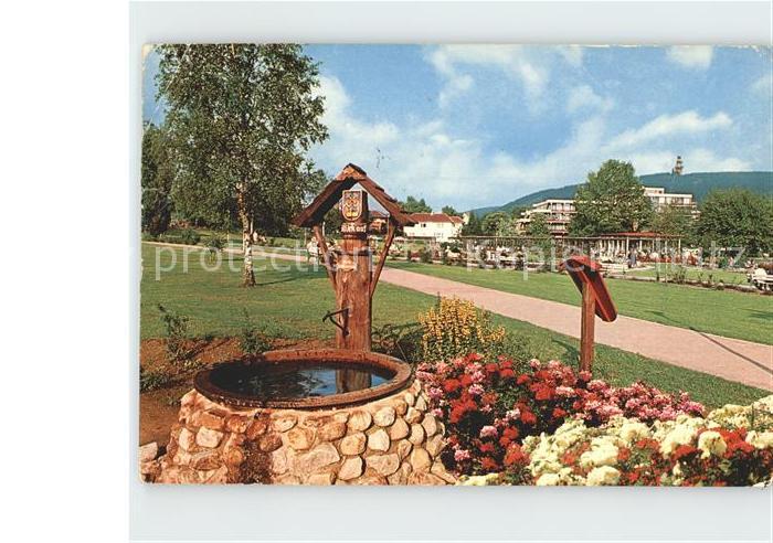 Hahnenklee-Bockswiese Harz Kuranlagen Brunnen
