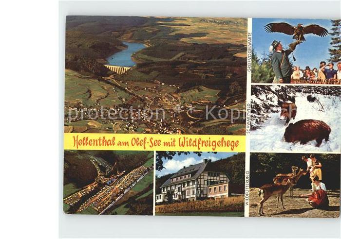 Hellenthal Eifel am Olfesee Totalansicht Wildfreigehege Greifvogel Wildschweine