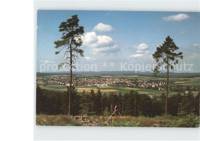 Beerfelden Odenwald Panorama