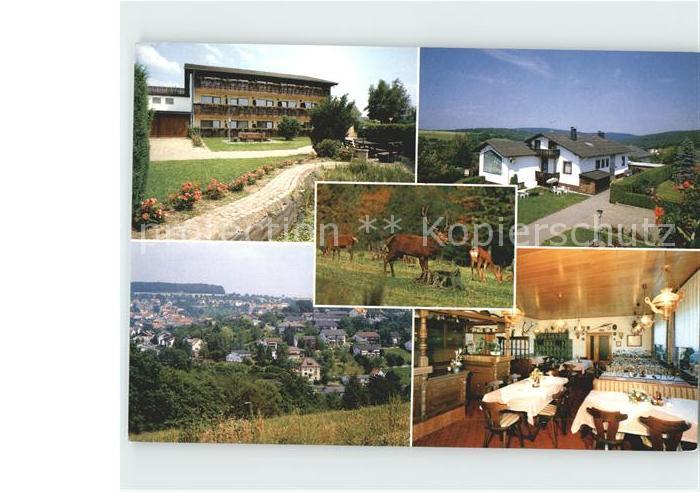 Luetzelbach Odenwald Pension Talblick Gastraum Panorama Wildgehege