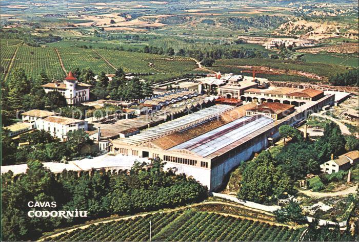 Codorniu Fliegeraufnahme Cavas