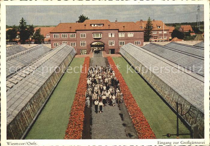 Wiesmoor Grossgaertnerei