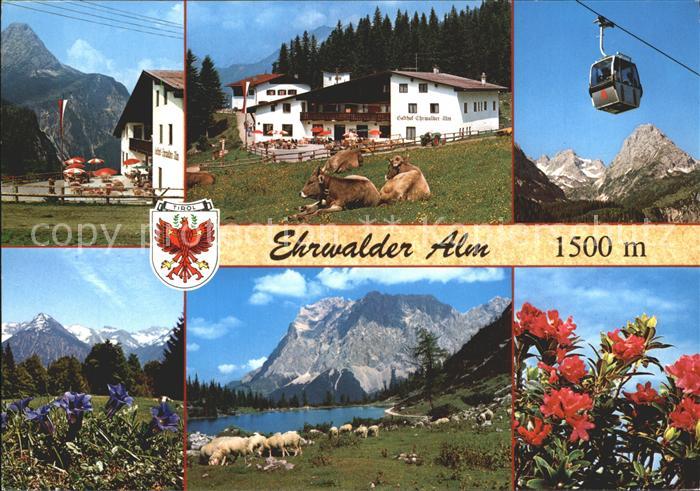 Ehrwald Tirol Alm Seilbahn Zugspitze