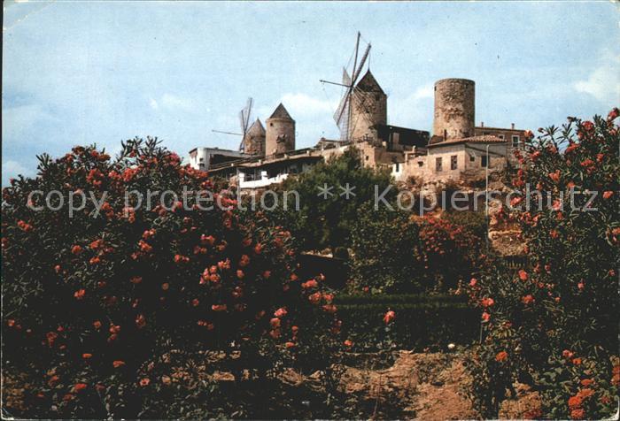 Palma de Mallorca Muehlen