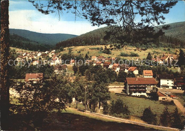 Enzkloesterle Hote Hirsch Cafe Kloesterle Gaestehaus Hirsch und Wiesengrund