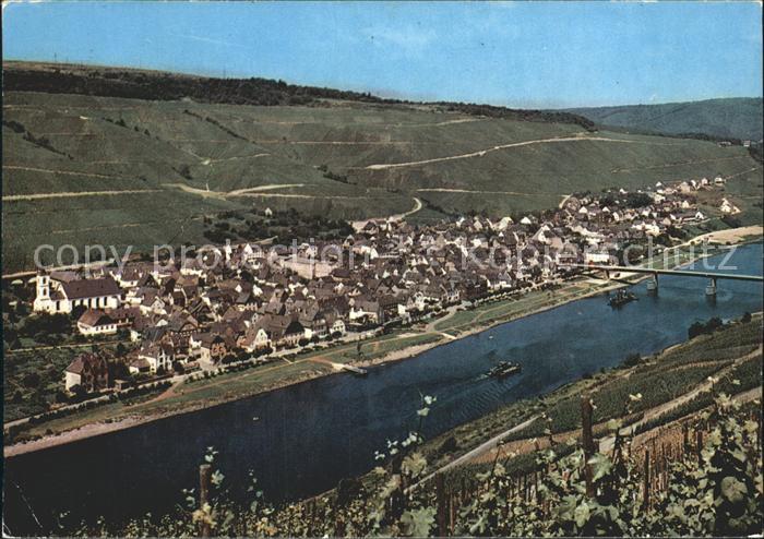 Reil Fliegeraufnahme Moselpartie